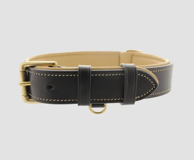 Leather Dog Collar No Accent #7116