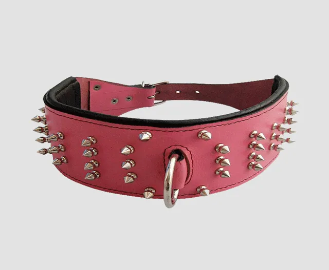Leather Dog Collar Spiked #7114