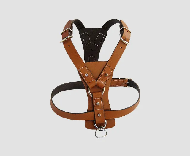 Leather Dog Collar #9819